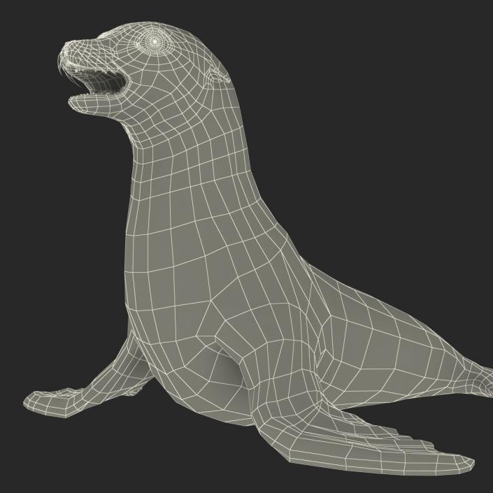 3D model Sea Lion