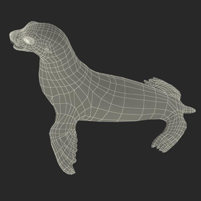 3D model Sea Lion