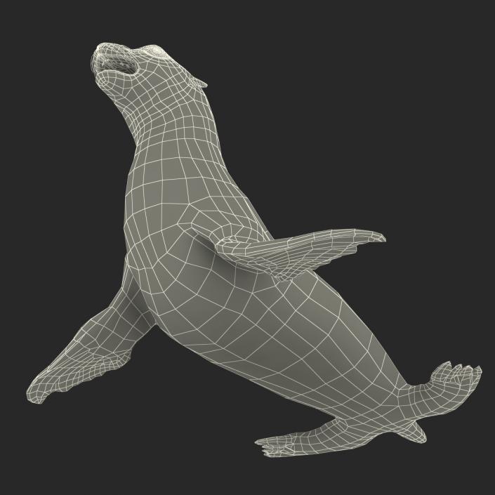 3D model Sea Lion