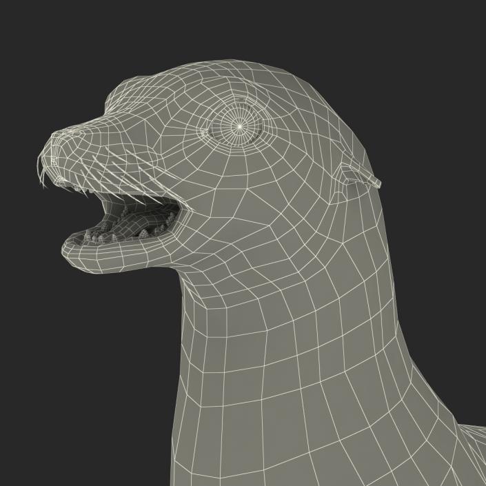 3D model Sea Lion