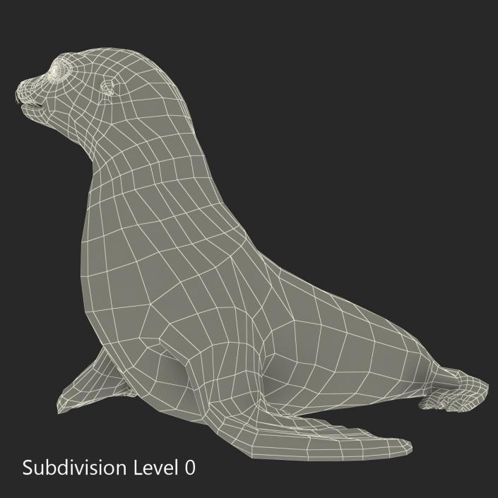 3D model Sea Lion Pose 2