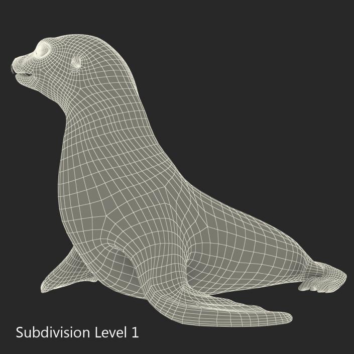 3D model Sea Lion Pose 2