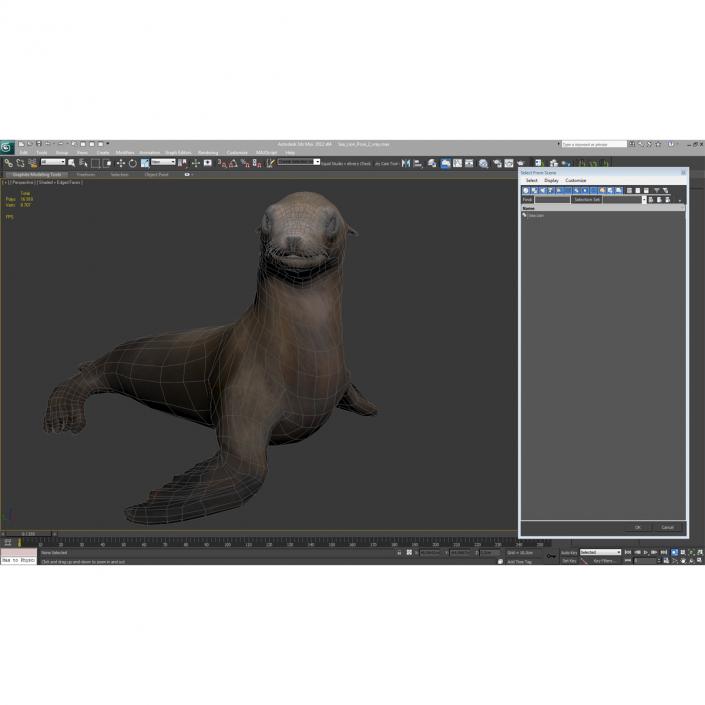 3D model Sea Lion Pose 2