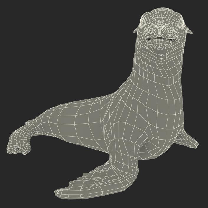 3D model Sea Lion Pose 2