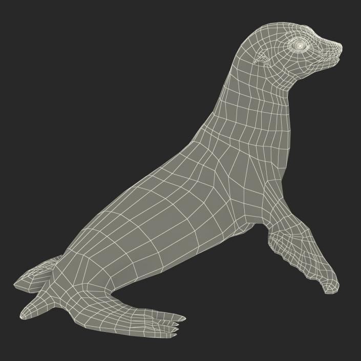 3D model Sea Lion Pose 2