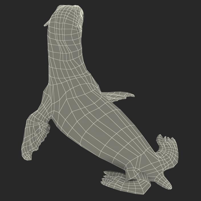 3D model Sea Lion Pose 2