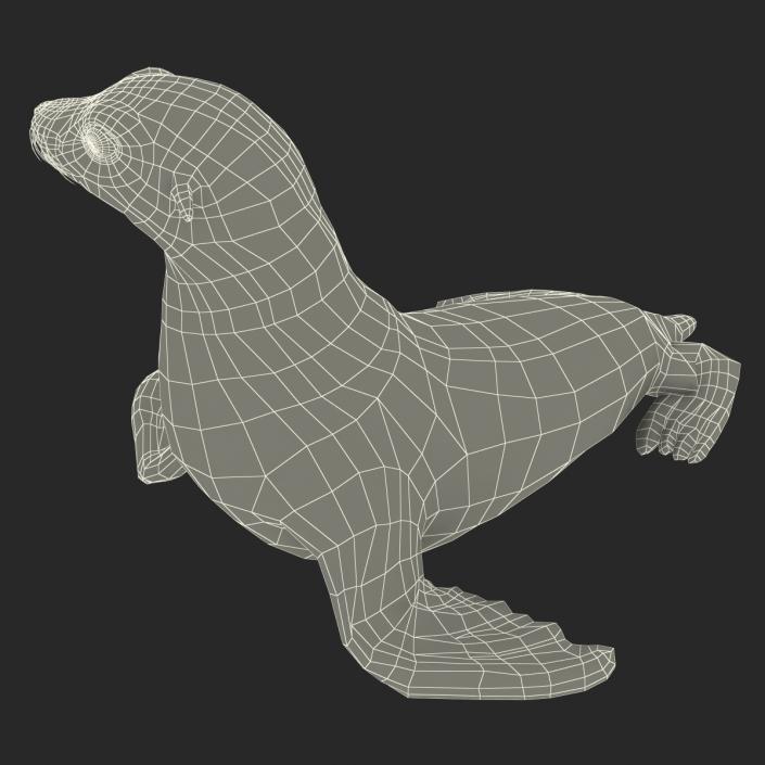 3D model Sea Lion Pose 2