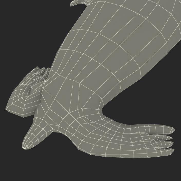 3D model Sea Lion Pose 2