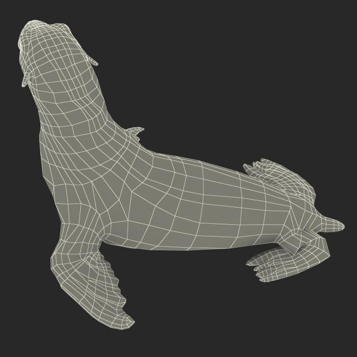 3D model Sea Lion Pose 2