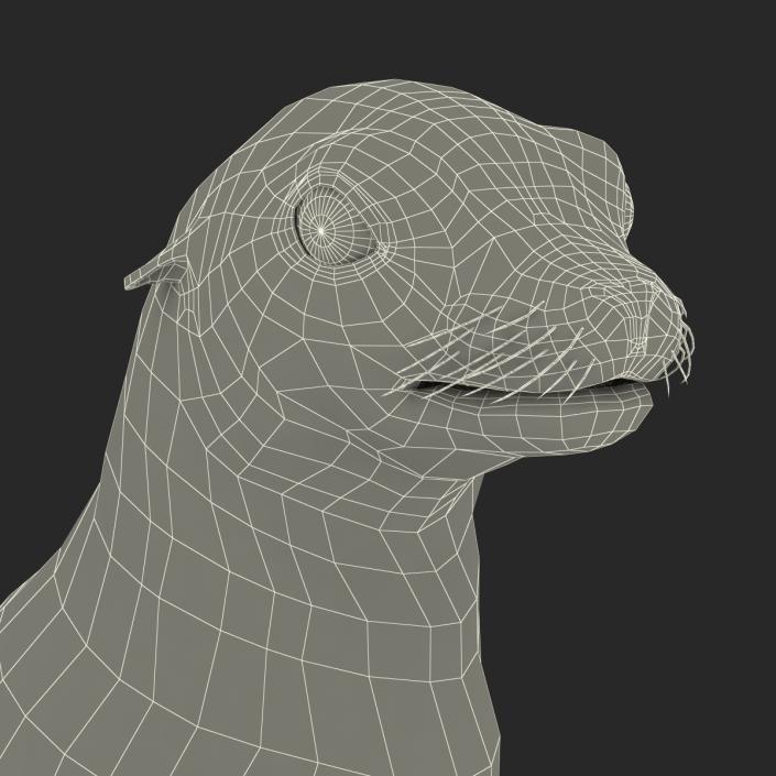 3D model Sea Lion Pose 2