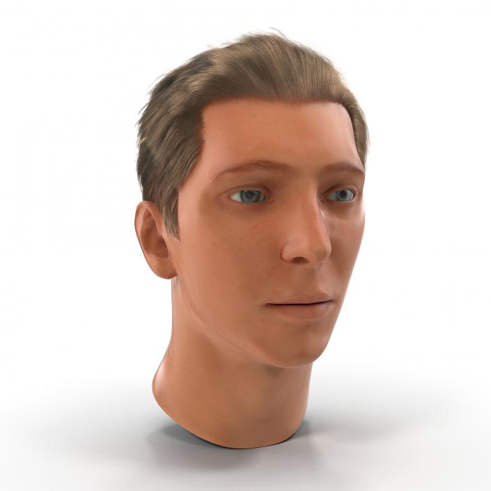 3D Male Head Rigged 2 model