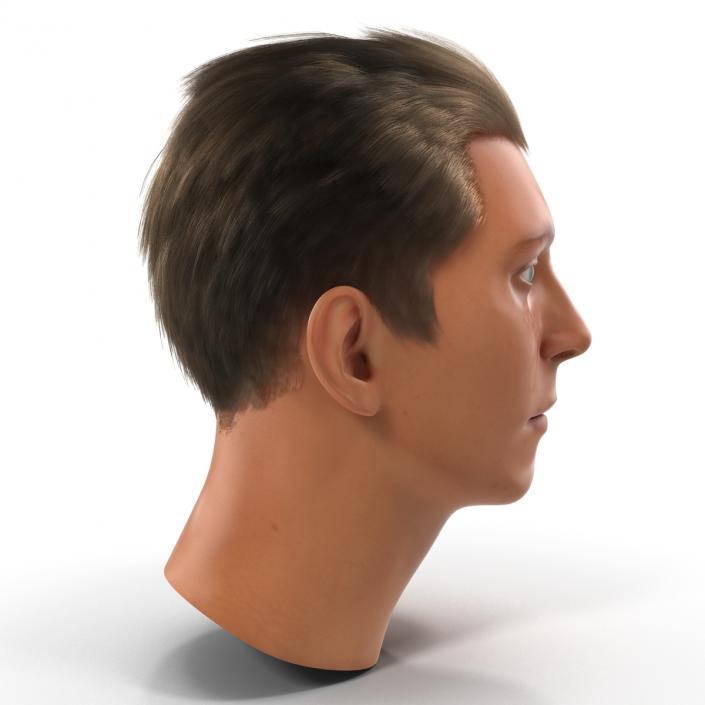 3D Male Head Rigged 2 model