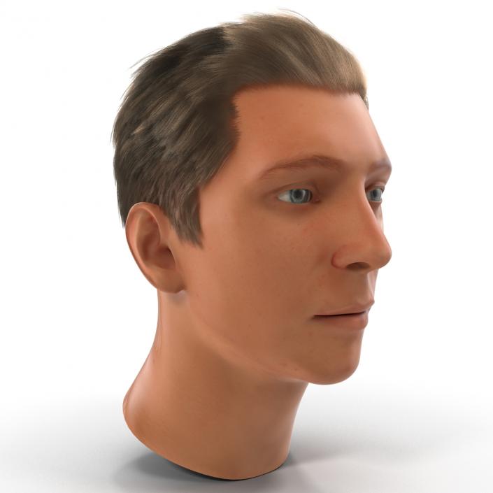 3D Male Head Rigged 2 model