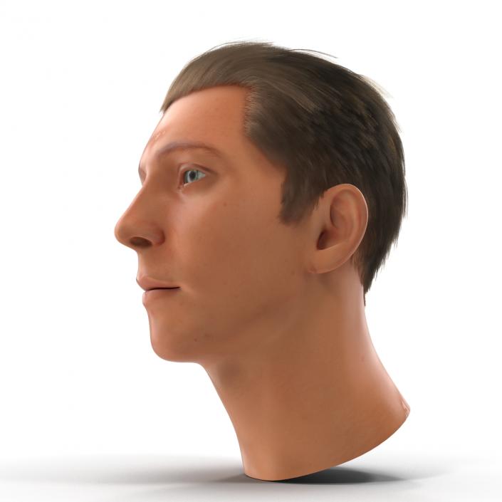 3D Male Head Rigged 2 model