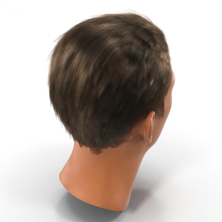 3D Male Head Rigged 2 model