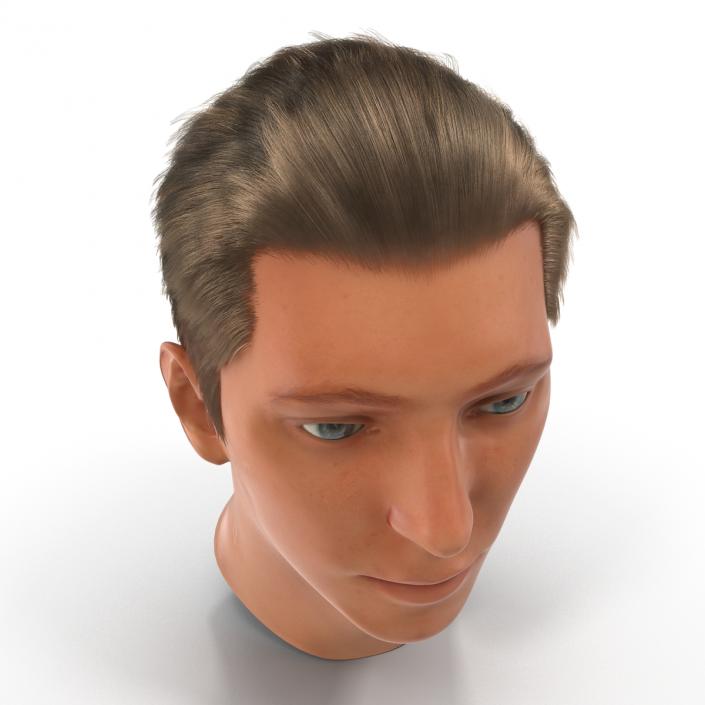 3D Male Head Rigged 2 model