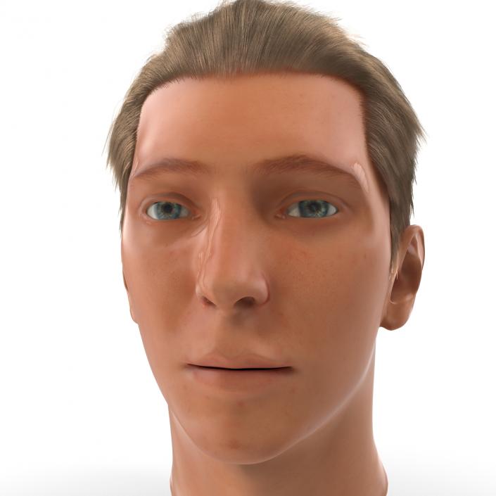 3D Male Head Rigged 2 model