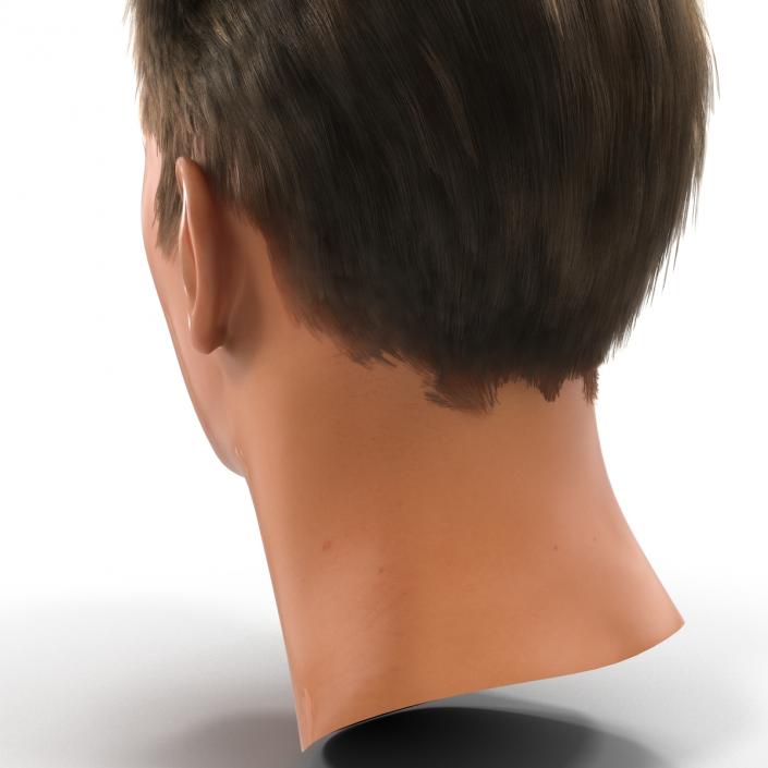 3D Male Head Rigged 2 model