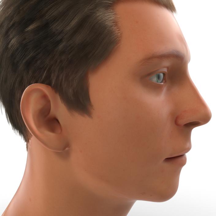 3D Male Head Rigged 2 model