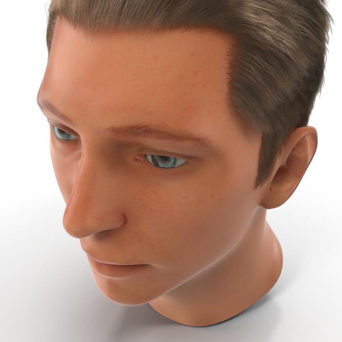 3D Male Head Rigged 2 model