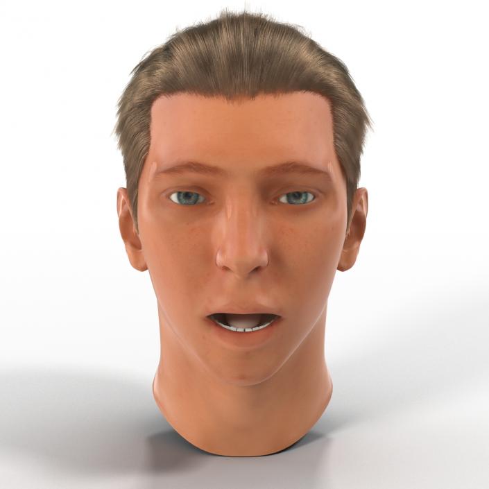 3D Male Head Rigged 2 model