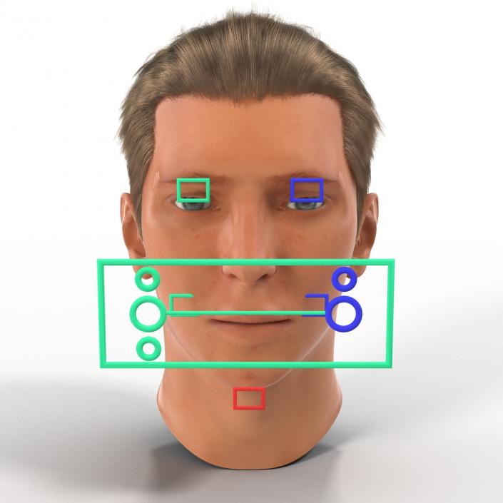 3D Male Head Rigged 2 model