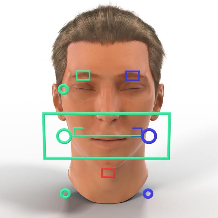 3D Male Head Rigged 2 model