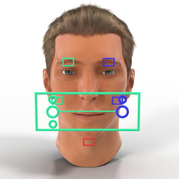 3D Male Head Rigged 2 model