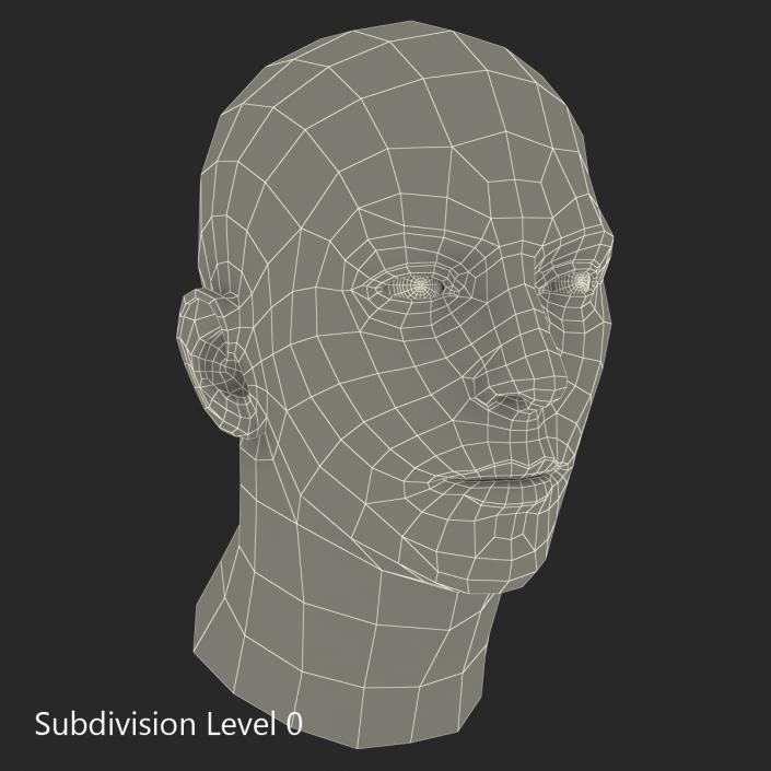 3D Male Head Rigged 2 model