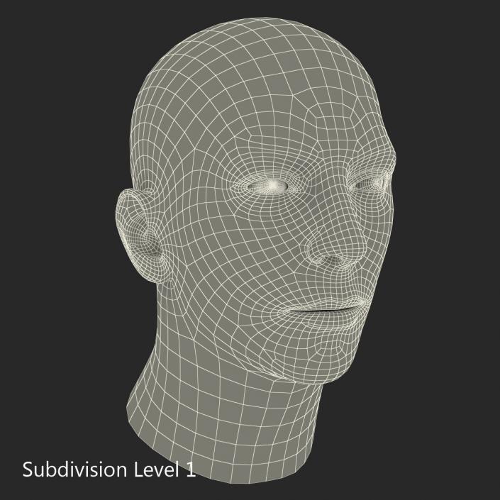 3D Male Head Rigged 2 model