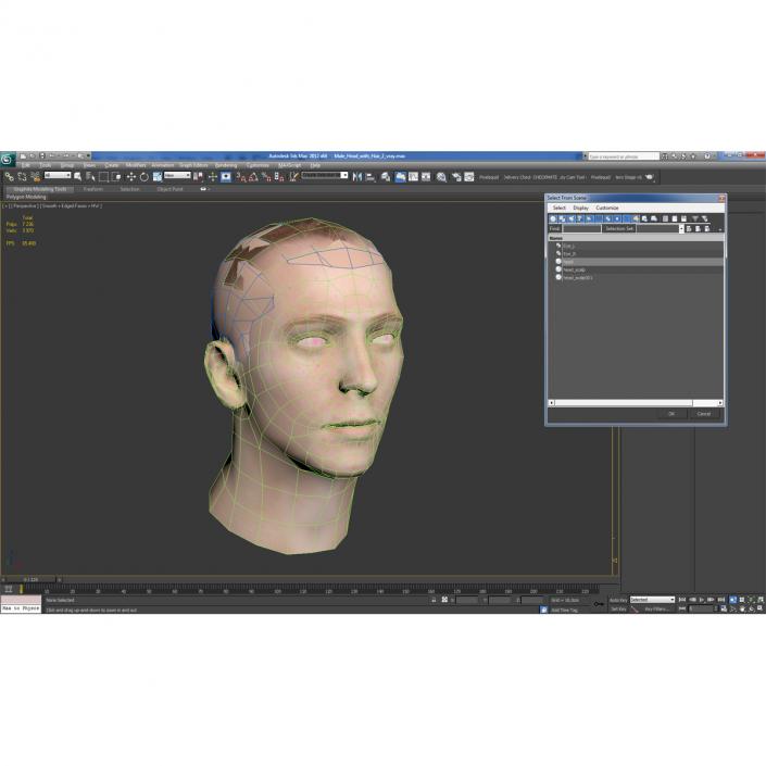 3D Male Head Rigged 2 model