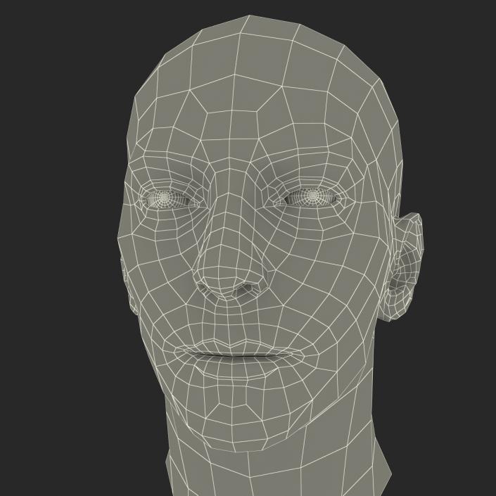 3D Male Head Rigged 2 model