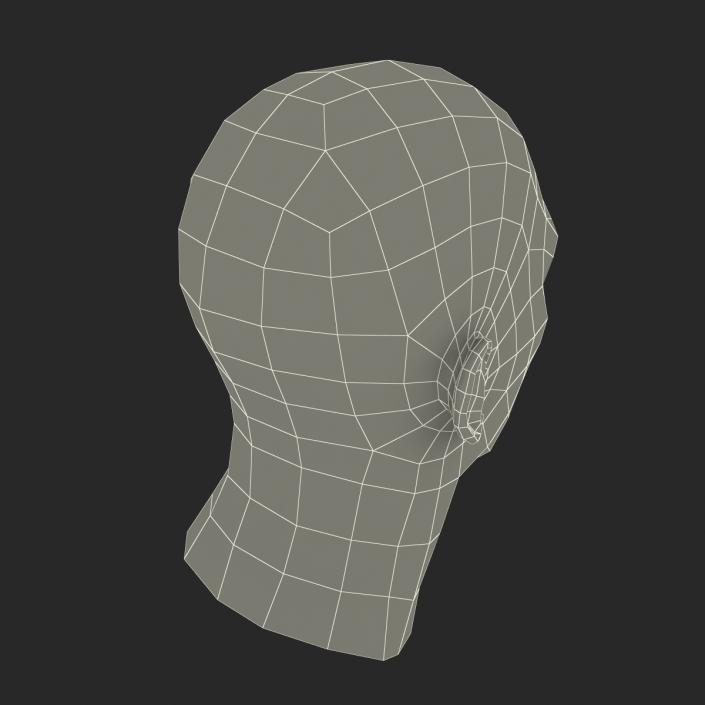 3D Male Head Rigged 2 model