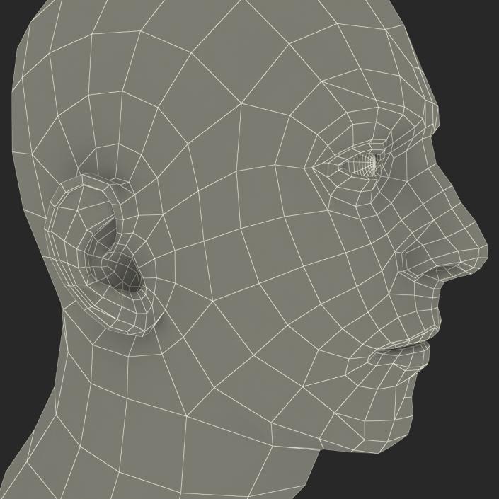 3D Male Head Rigged 2 model