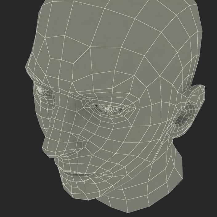 3D Male Head Rigged 2 model