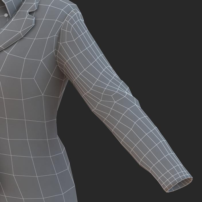 Formal Skirt Suit 2 3D model