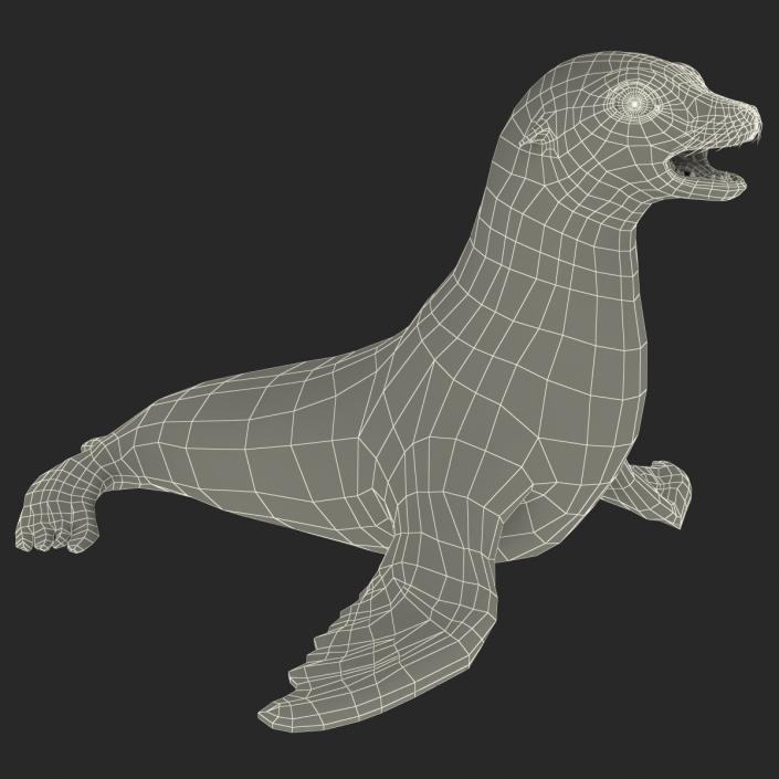 3D model Sea Lion Rigged