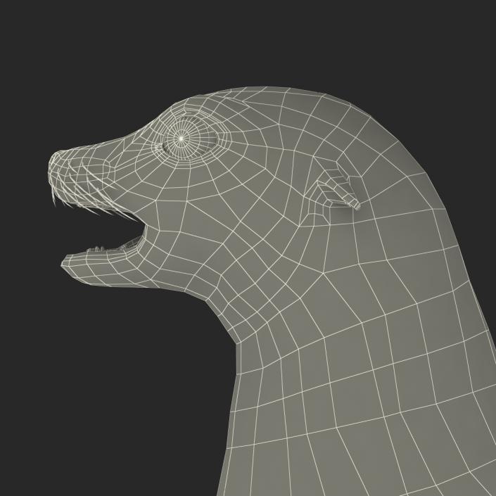 3D model Sea Lion Rigged