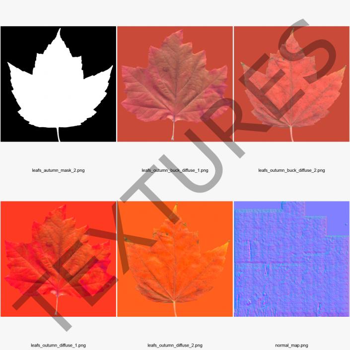 3D model Old Red Maple Tree Autumn