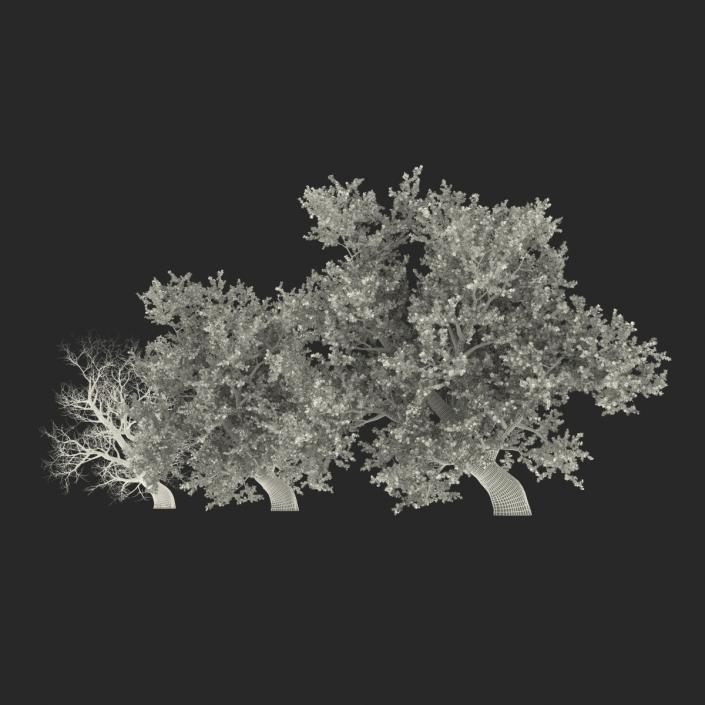 Old Red Maple Tree 3D Models Set 3D