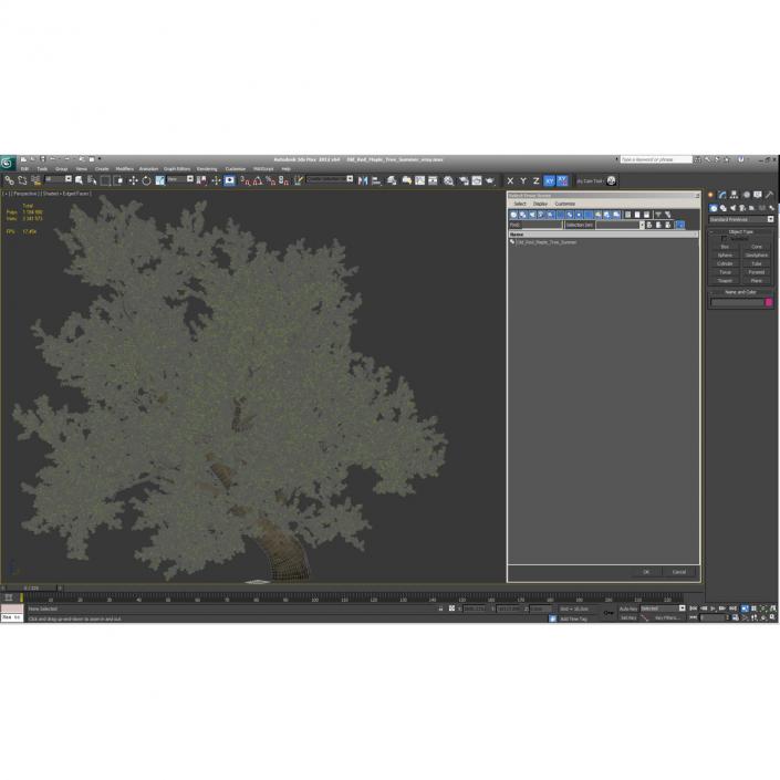 3D model Old Red Maple Tree Summer
