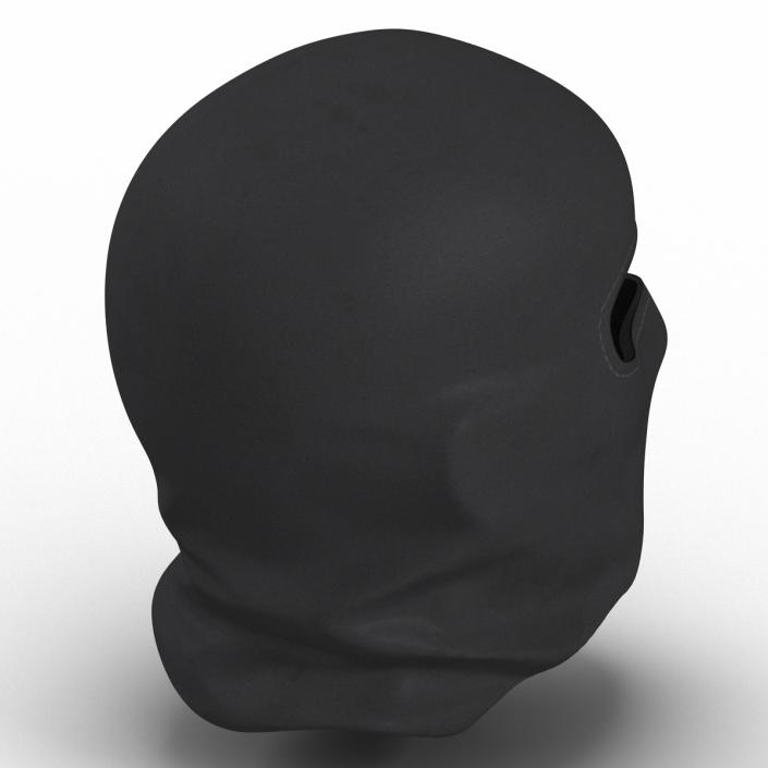 Balaclava Face Mask 3D model