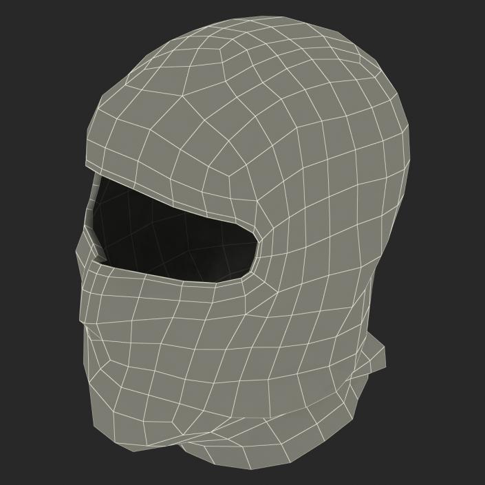 Balaclava Face Mask 3D model