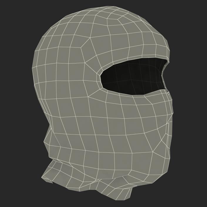 Balaclava Face Mask 3D model