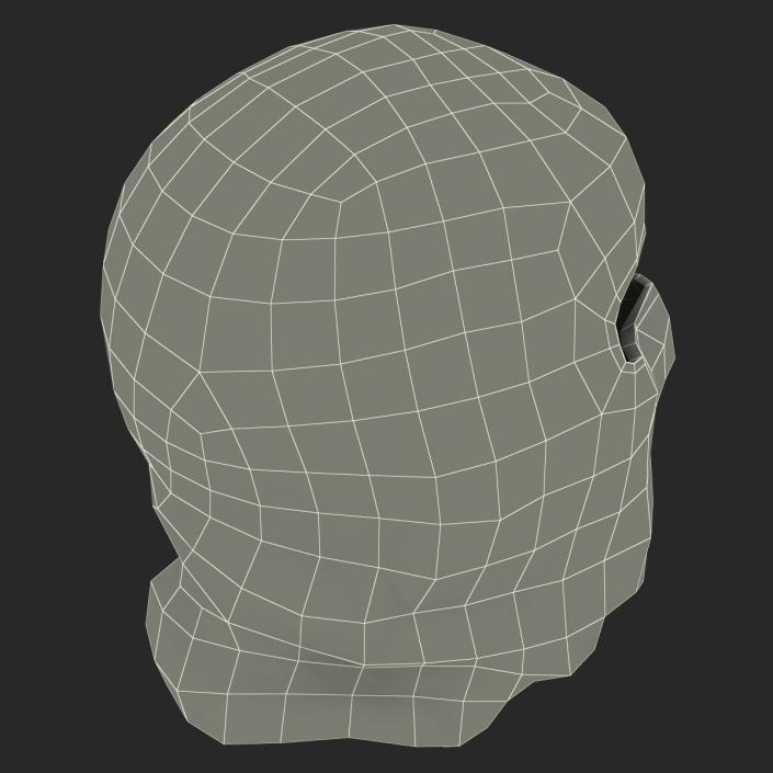 Balaclava Face Mask 3D model