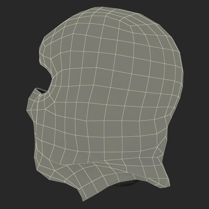 Balaclava Face Mask 3D model