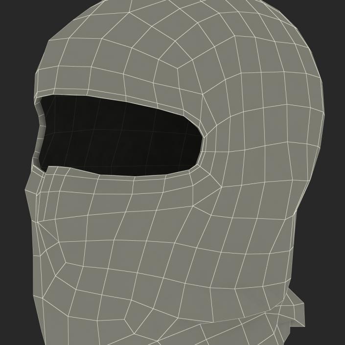 Balaclava Face Mask 3D model