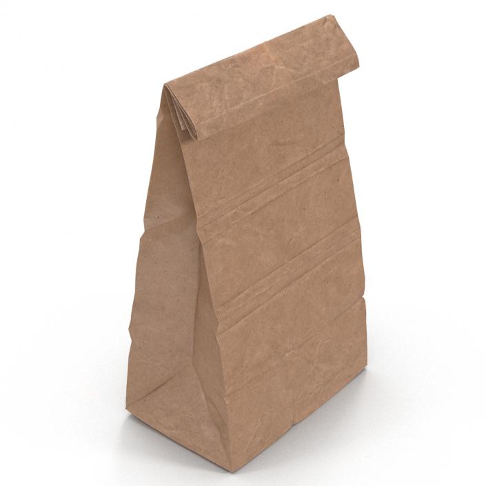 3D Paper Bag 2