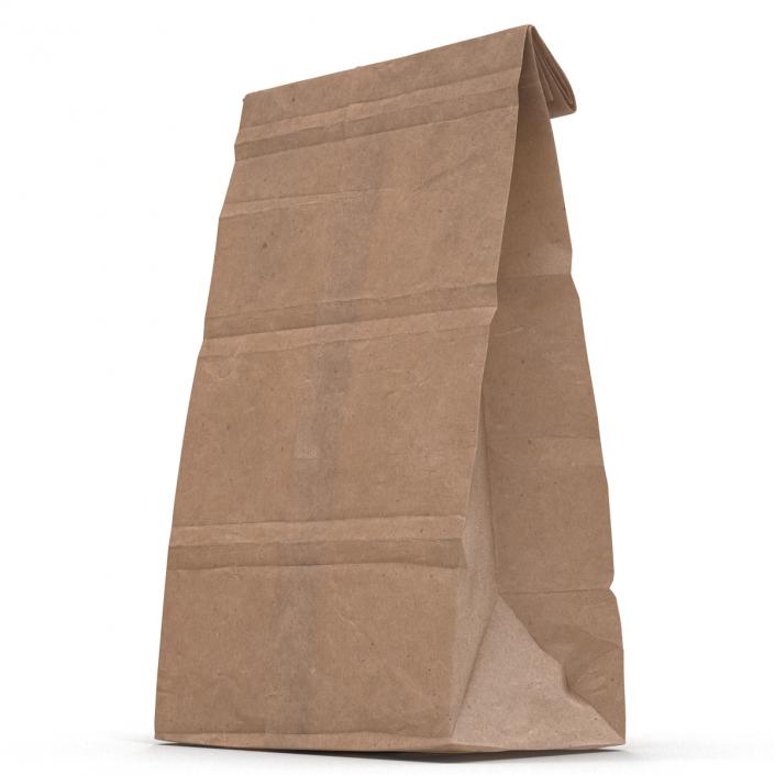 3D Paper Bag 2