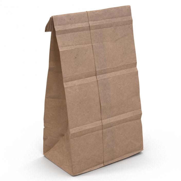 3D Paper Bag 2